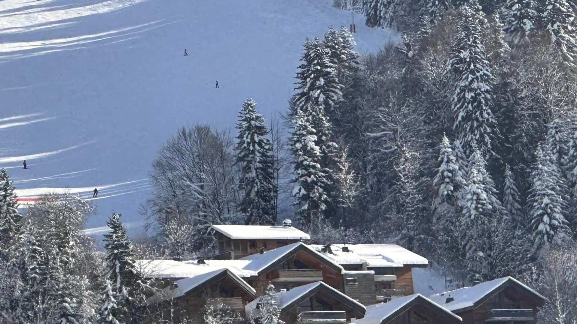 Appartement Ski Aux Pieds, 3 Pieces, 6 Pers, Terrasse Sud, Pres Des Carroz - Fr-1-572-248 雷加霍斯达哈施